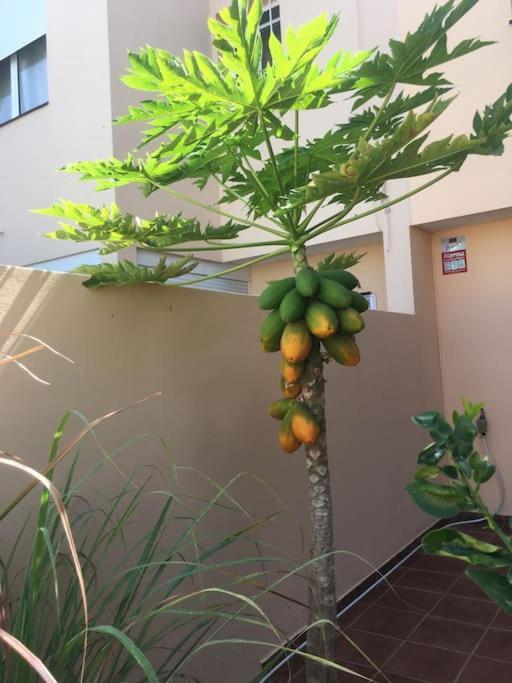 Independiente Estudio En Acogedora Casita De Mai * Costa Adeje (Tenerife)
