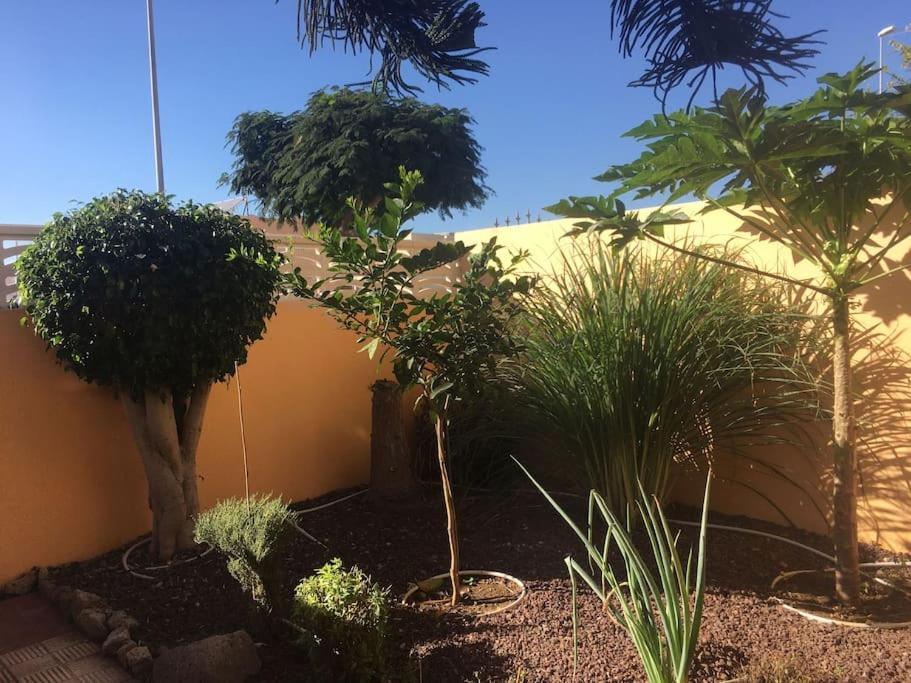 Apartamento Independiente Estudio En Acogedora Casita De Mai *